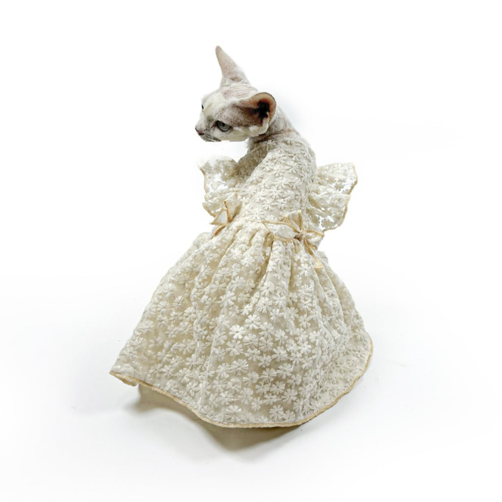 Sphynx Robe Princesse de chat Brodé vêtements de luxe pour chats sans cheveux