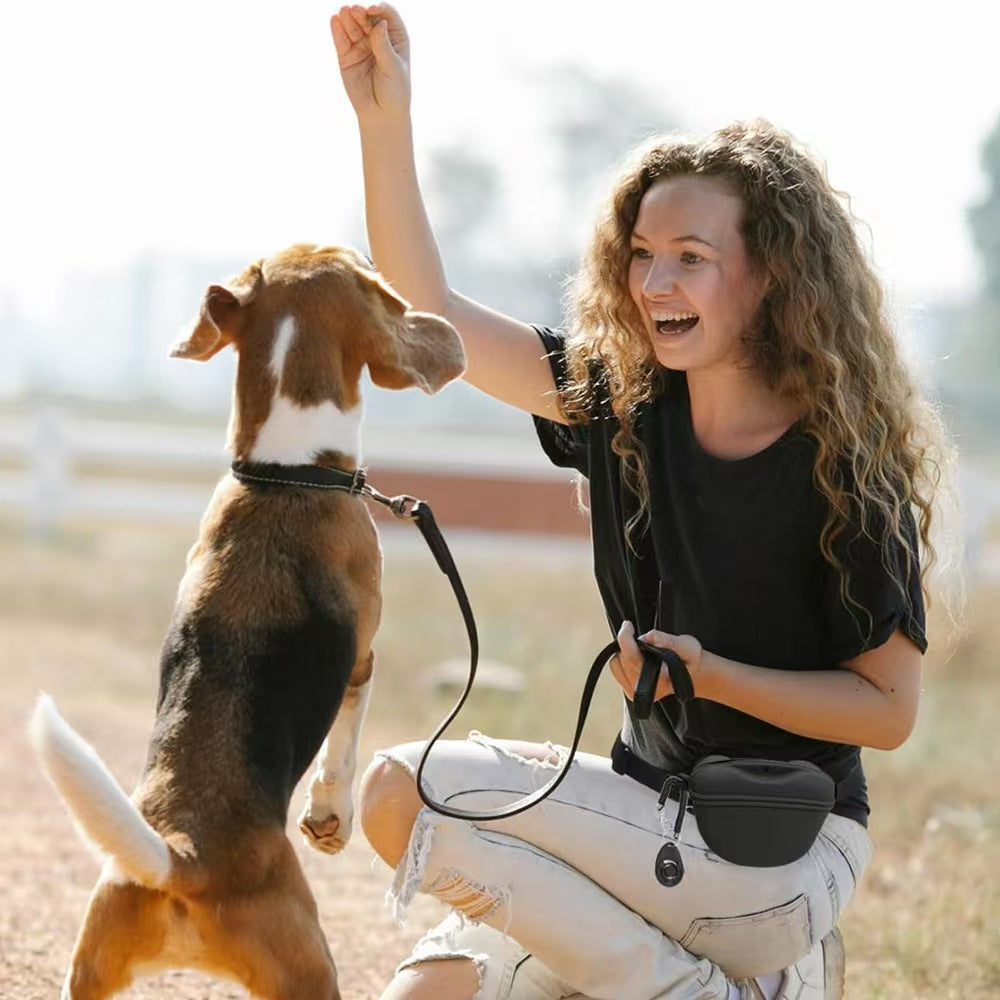 Sac d'entraînement pour chien portable en silicone