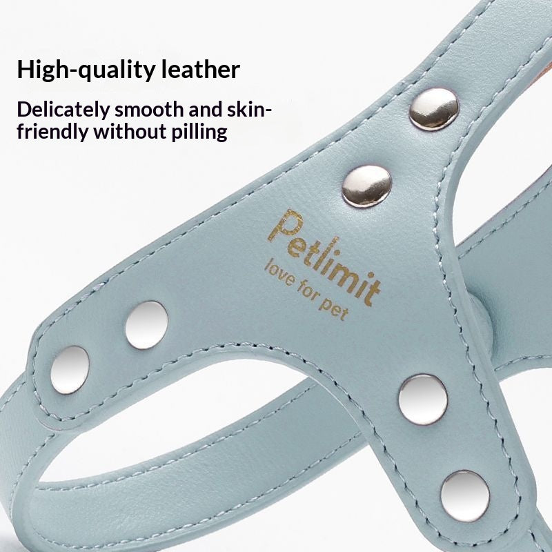 Harnais en cuir et laisse pour chiots pour petits chiens