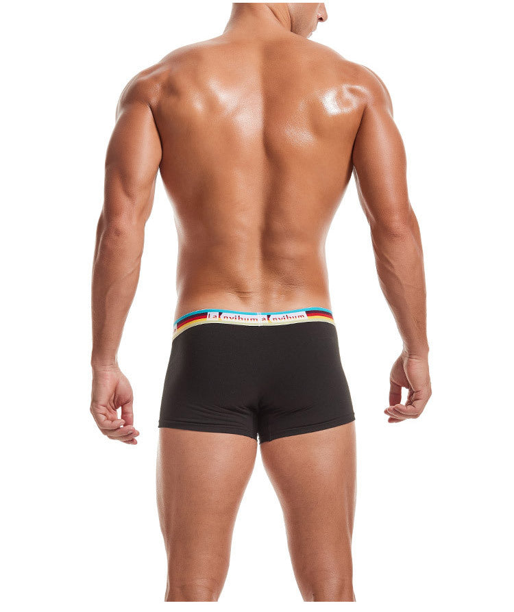 Sous-vêtements pour hommes en coton taille moyenne Rainbow Belt Boxer Short