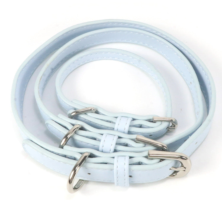 Collier pour chien en cuir pour chiens de taille petite à moyenne avec une corde de traction