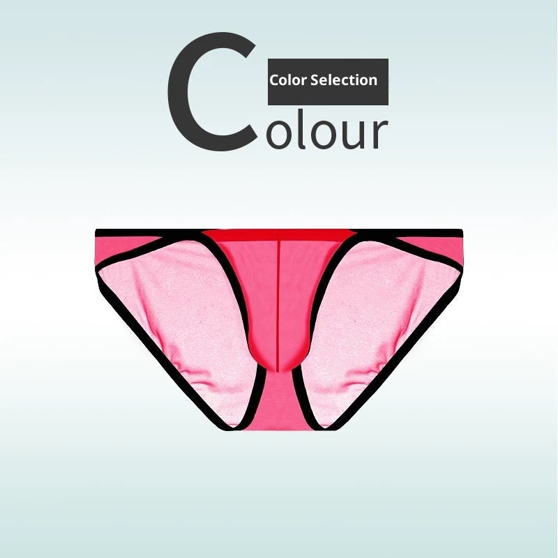Slips en soie de glace ultra-mince, transparents et de taille basse