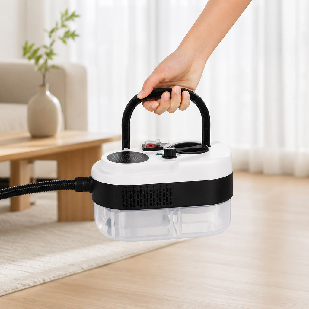 Machine de nettoyage à vapeur haute température et haute pression