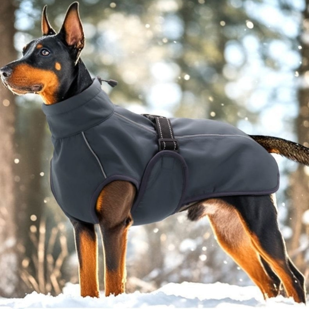 Teddy Automne et vêtements d'hiver Veste d'hiver épais manteau d'hiver