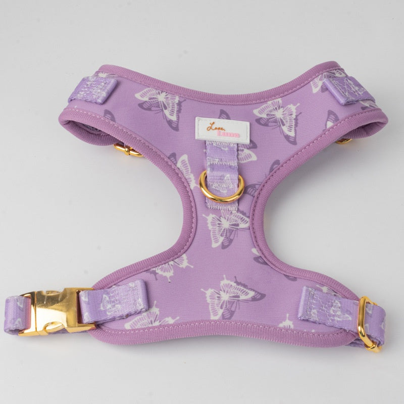Chien Outfit Pet Extra-large Collier et laisse