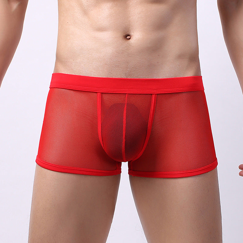 Sous-vêtements pour hommes Mesh Mesh Respirant Boxers Low Waist Transparent Boxers Youth Cool Short