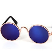 Verres pour chats Lunettes de soleil pour chats Accessoires pour chats