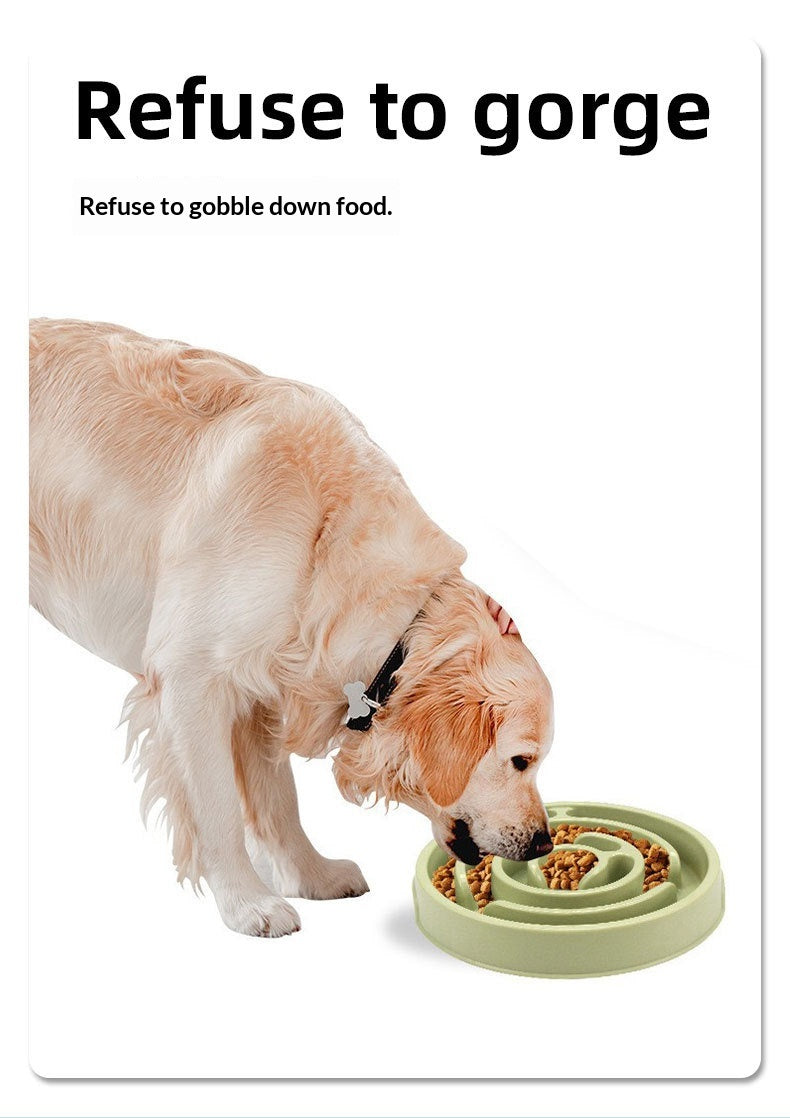 Bol de chien d'alimentation lente