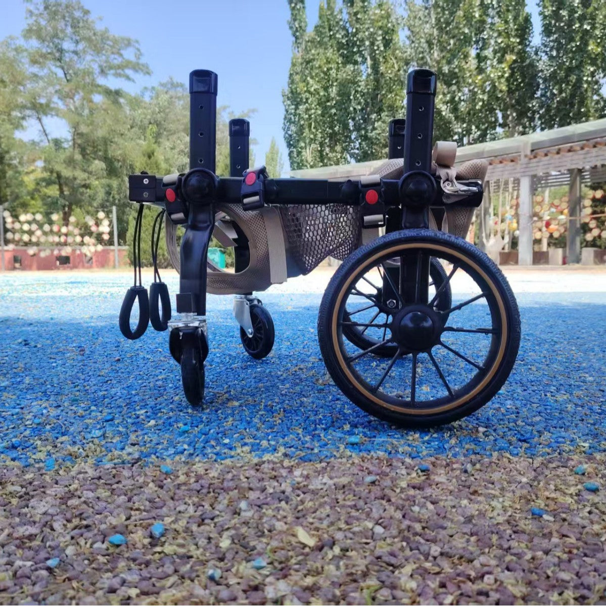 Fauteuil roulant pour chiens pour la réhabilitation de la paralyse et l'aide à la mobilité pour chiens handicapés