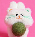 Catnip Toy Pet Supplies En peluche Polygonum Multiflorum résistant aux rayures