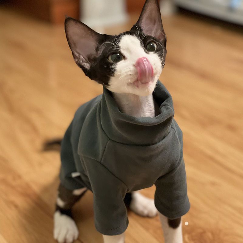 Sphynx Cat Chaud Col Tortue Chandails pour chats sans cheveux