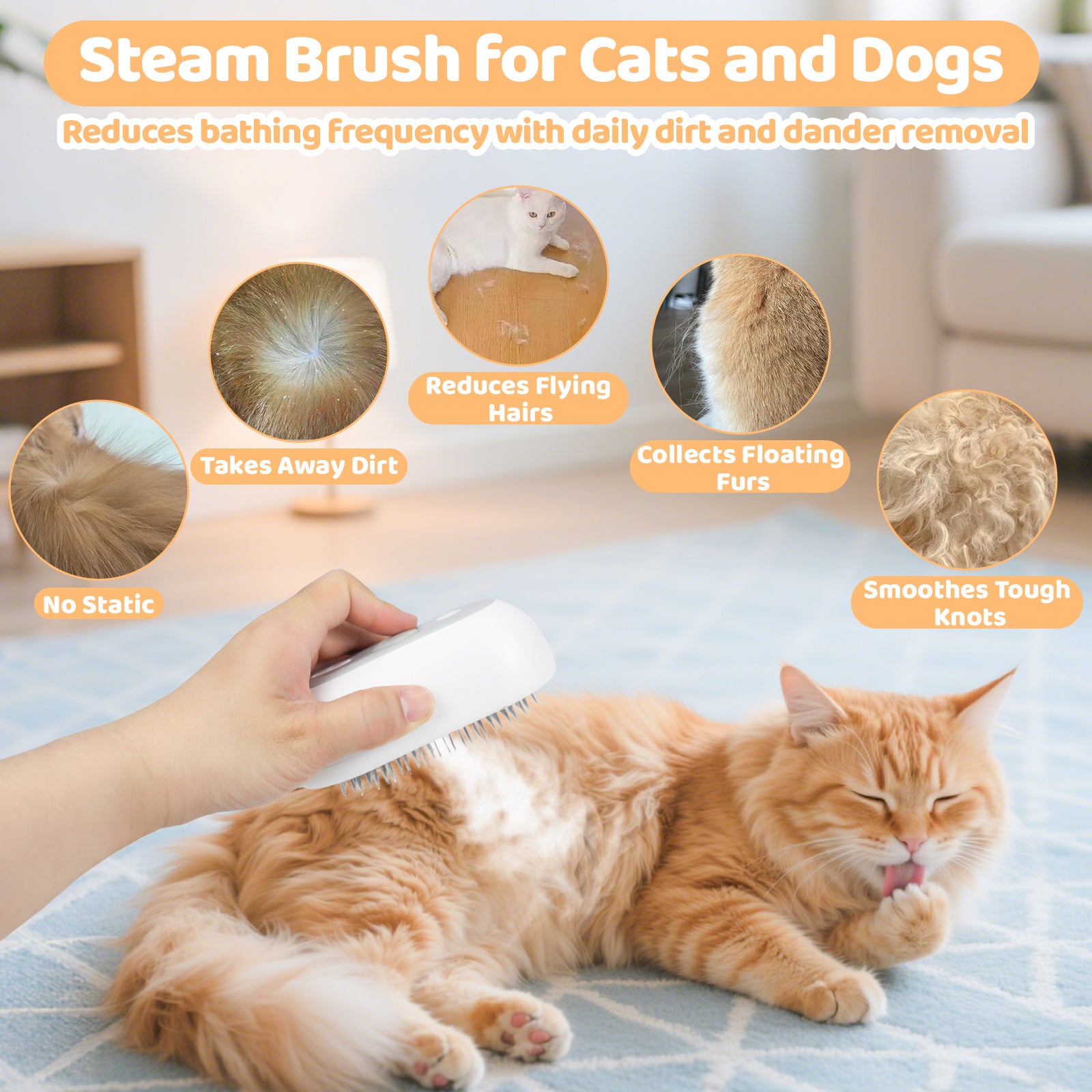 Brosse à vapeur pour chat - Brosse pour chat pour cheveux courts et longs