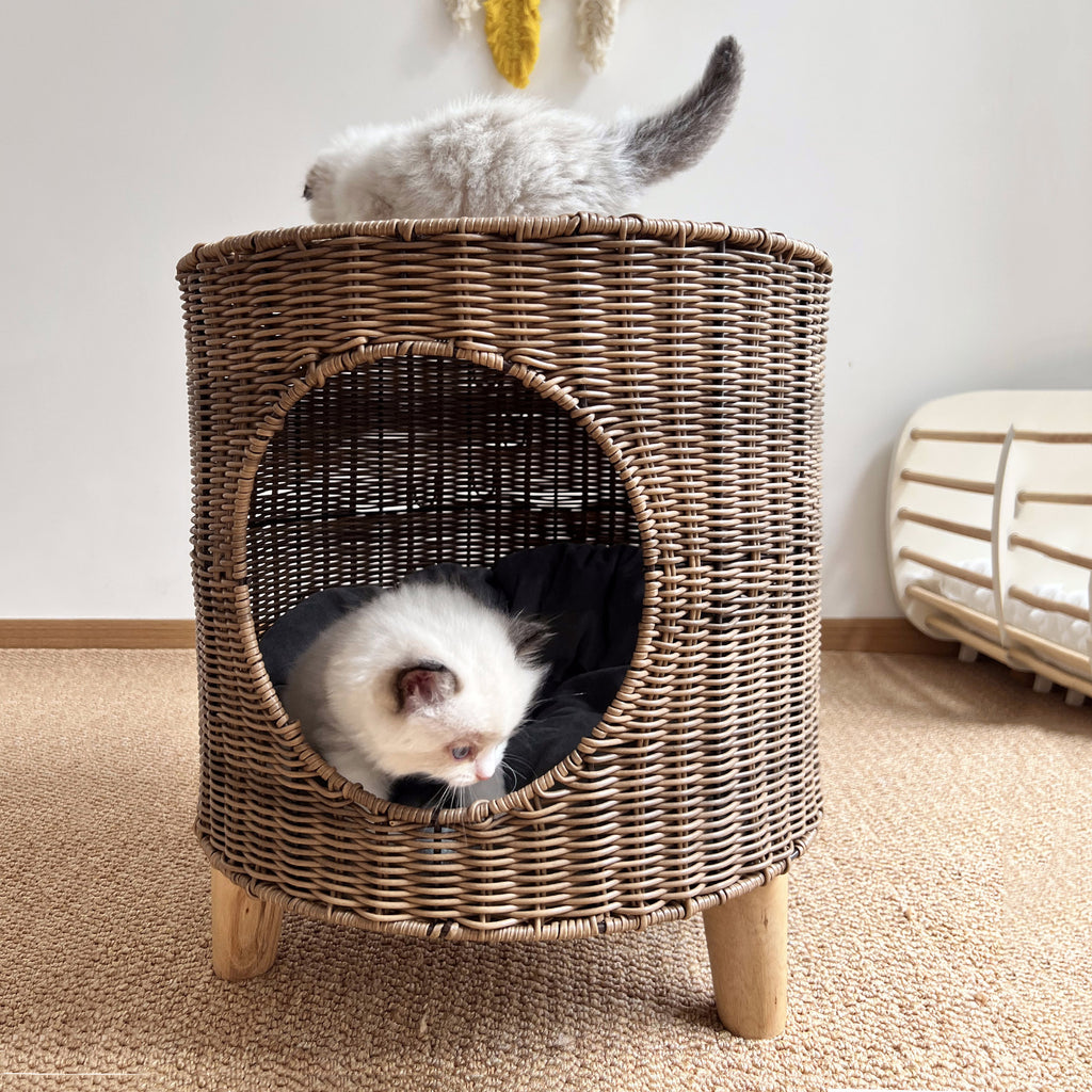 Lit de chat chaud et semi-fermé pour l'hiver