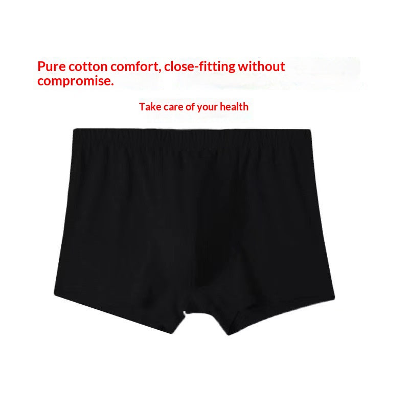 Briefs pour hommes pour hommes d'âge moyen et plus âgés