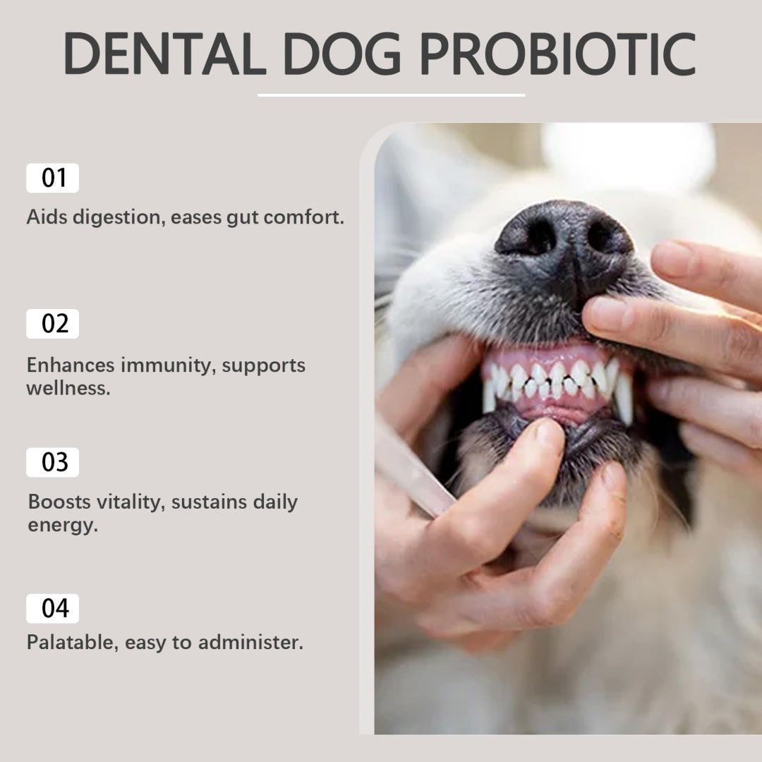Supplément en poudre pour soins dentaires pour chiens