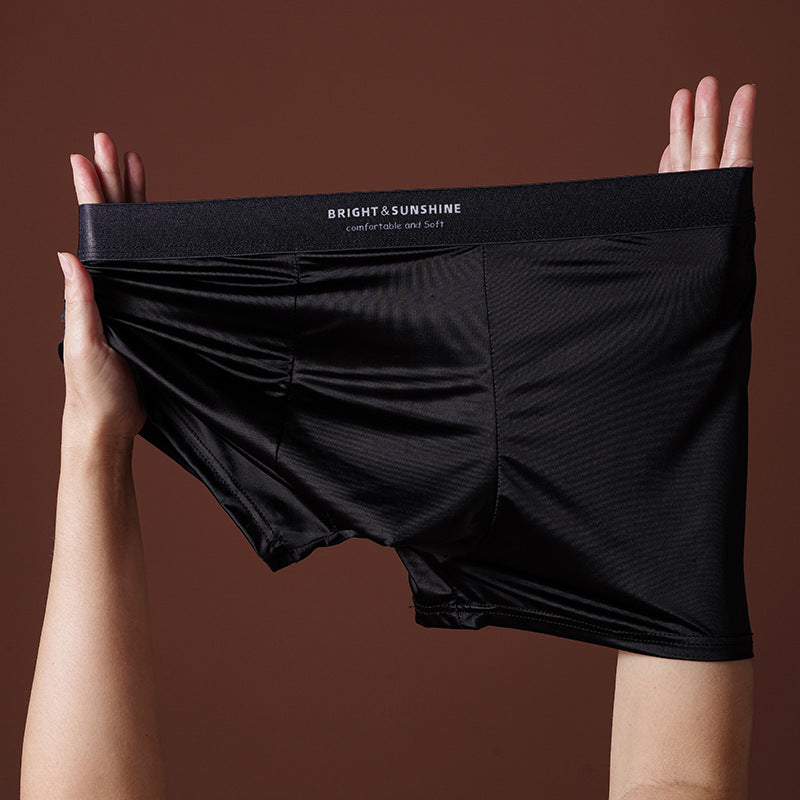 Sous-vêtements Hommes 10A Boxer antibactérien Breathable Sans couture