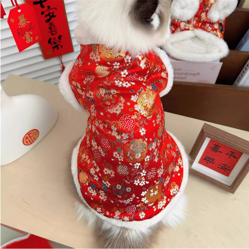 Sous-vêtements Ragdoll Maillot de chaton à l'ombre d'argent