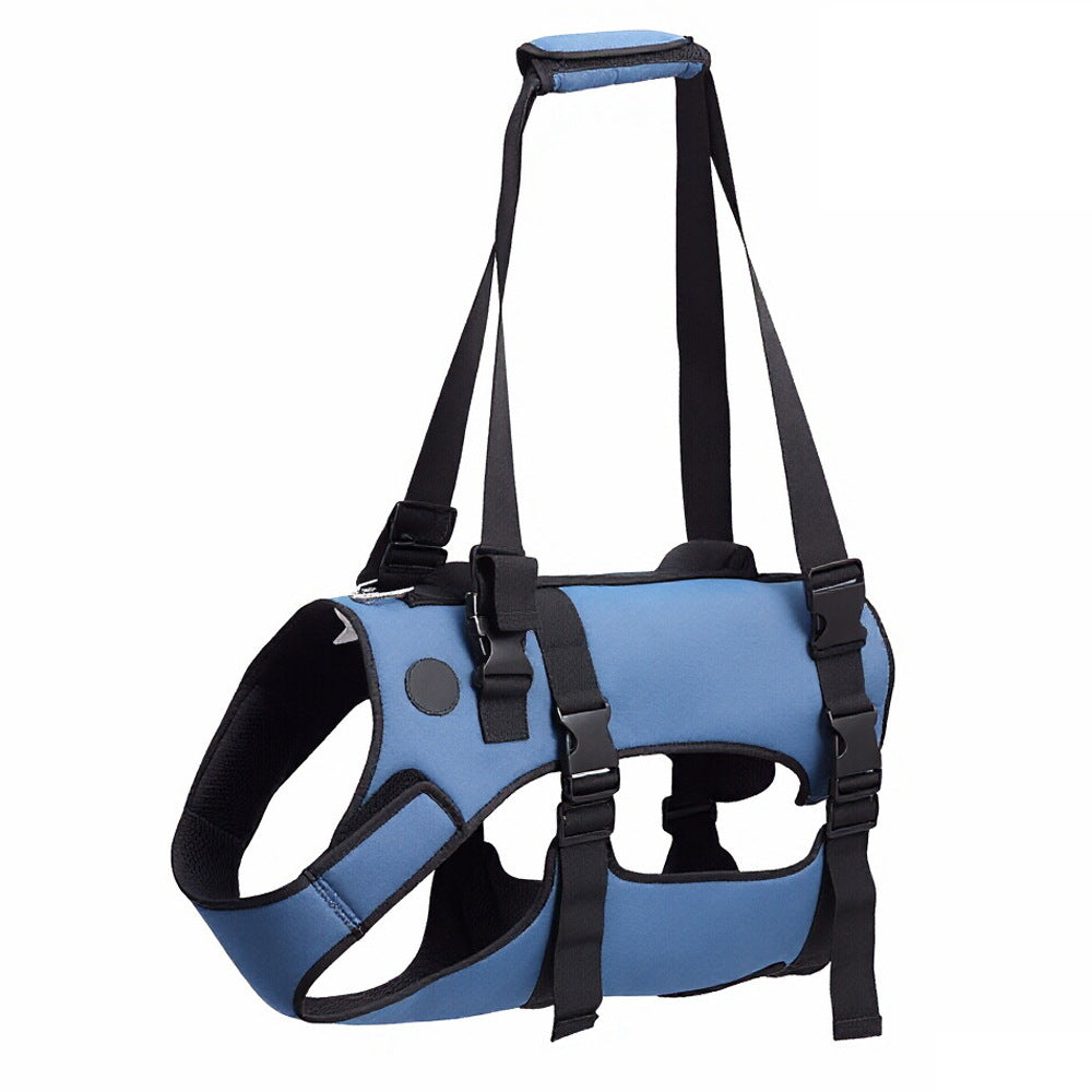 Assistance pour un chien avec jambes faibles