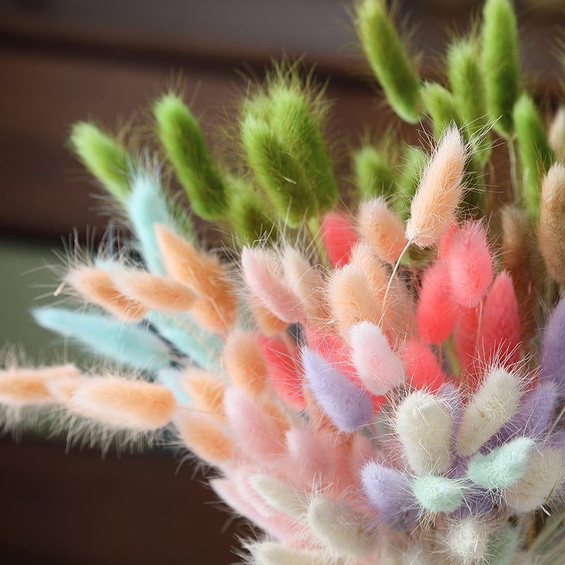 Accueil Décoration Ornements - Bouquet de fleurs séchées à l'herbe de lapin