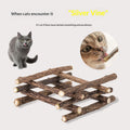 Catnip 10Piece Pack Bâtons de dents Catnip