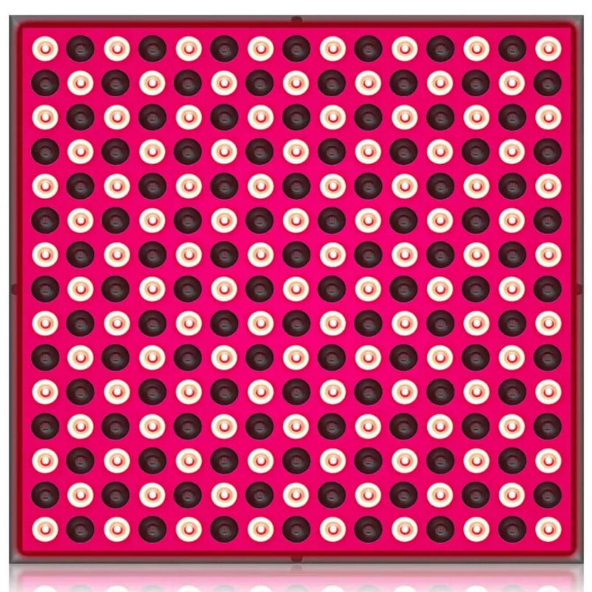 Panneau de thérapie anti-vieillissement 660nm proche infrarouge 850nm corps complet 225Lumière LED rouge