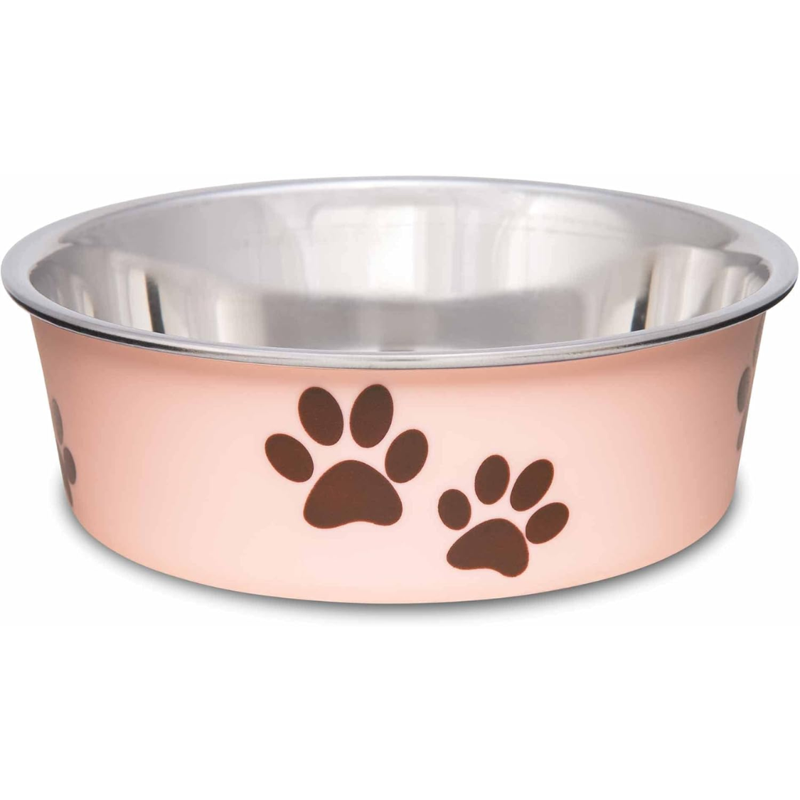 Bols de chien en acier inoxydable Bols de chat de chien Spill Proof Dog Food Bowl de chat Puppy Pet Suppl
