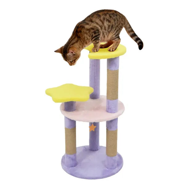 Lune & Étoile Arbre chat avec 4 niveaux