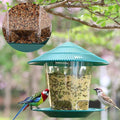 Jardin extérieur suspendu Oiseaux transparents