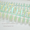 Electroplating Chat's Eye 02 Idle Court Wild Waddding Aurora Nail Porter Nail