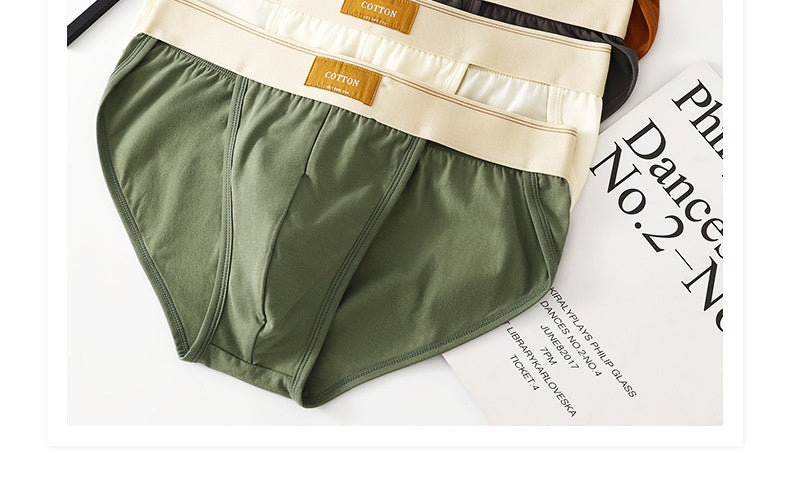 Slips en coton couleur solide pour hommes