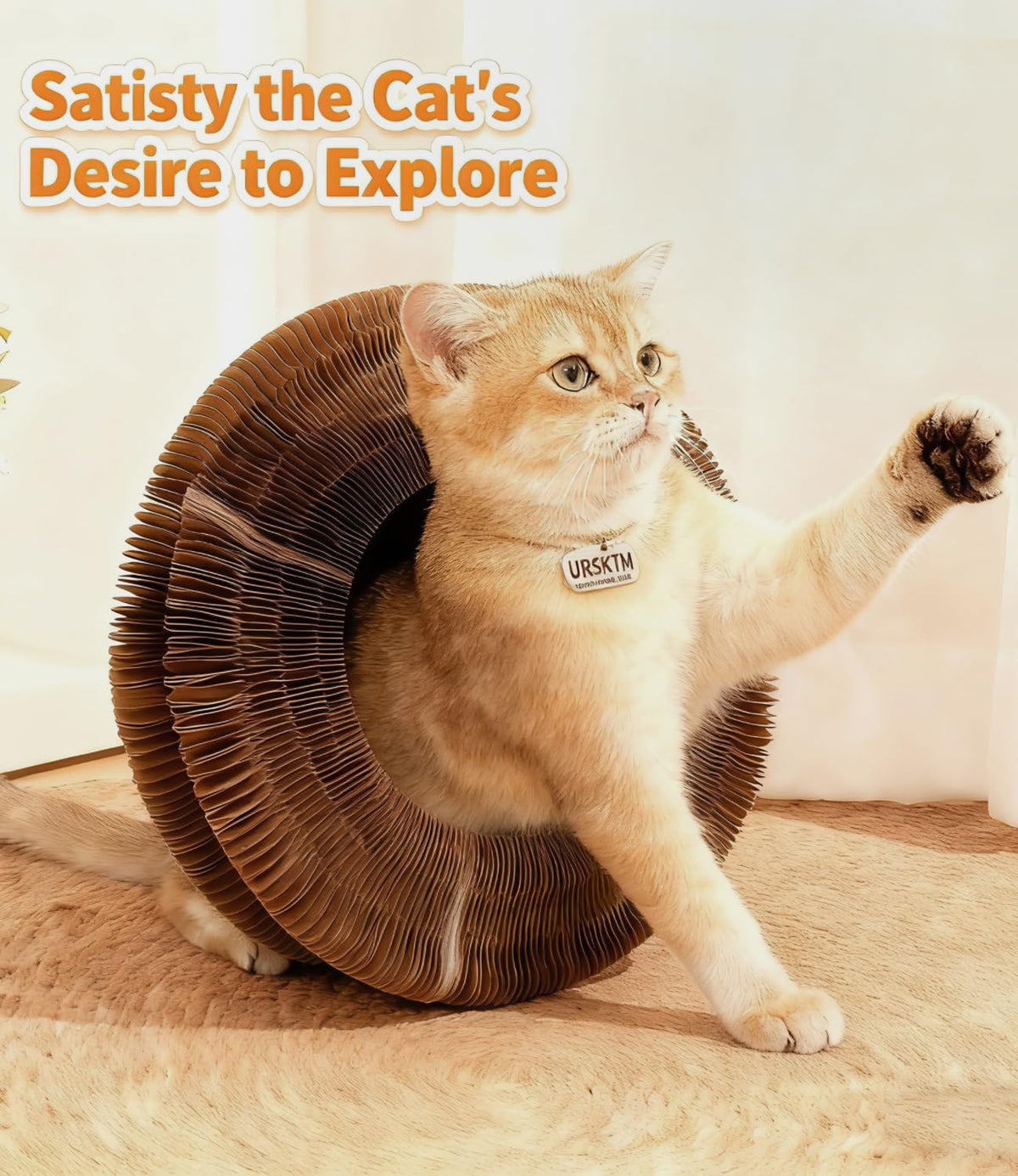 2PCS Kitty Kurls Cat Scratcher Toy Modernization
