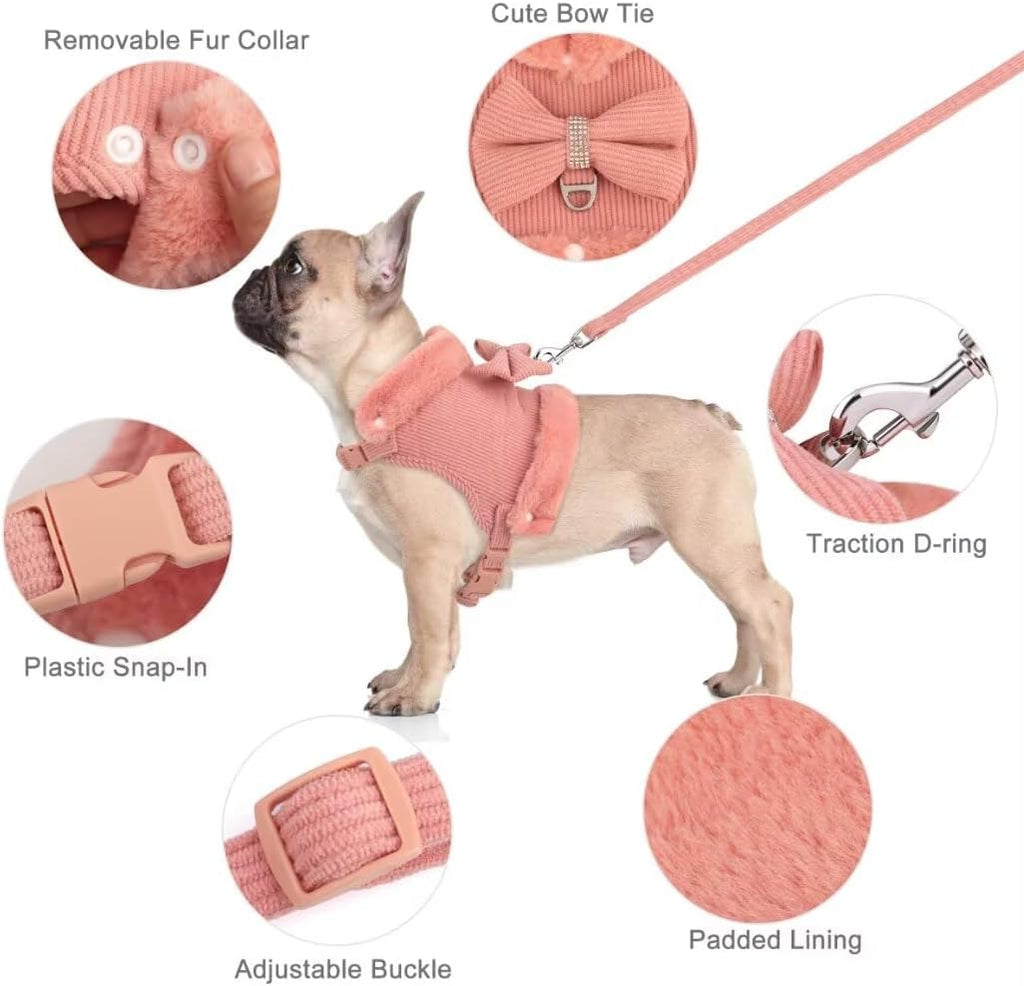 Mignon chaud petit chien Harnais et jeu de laisse avec Bow Tie