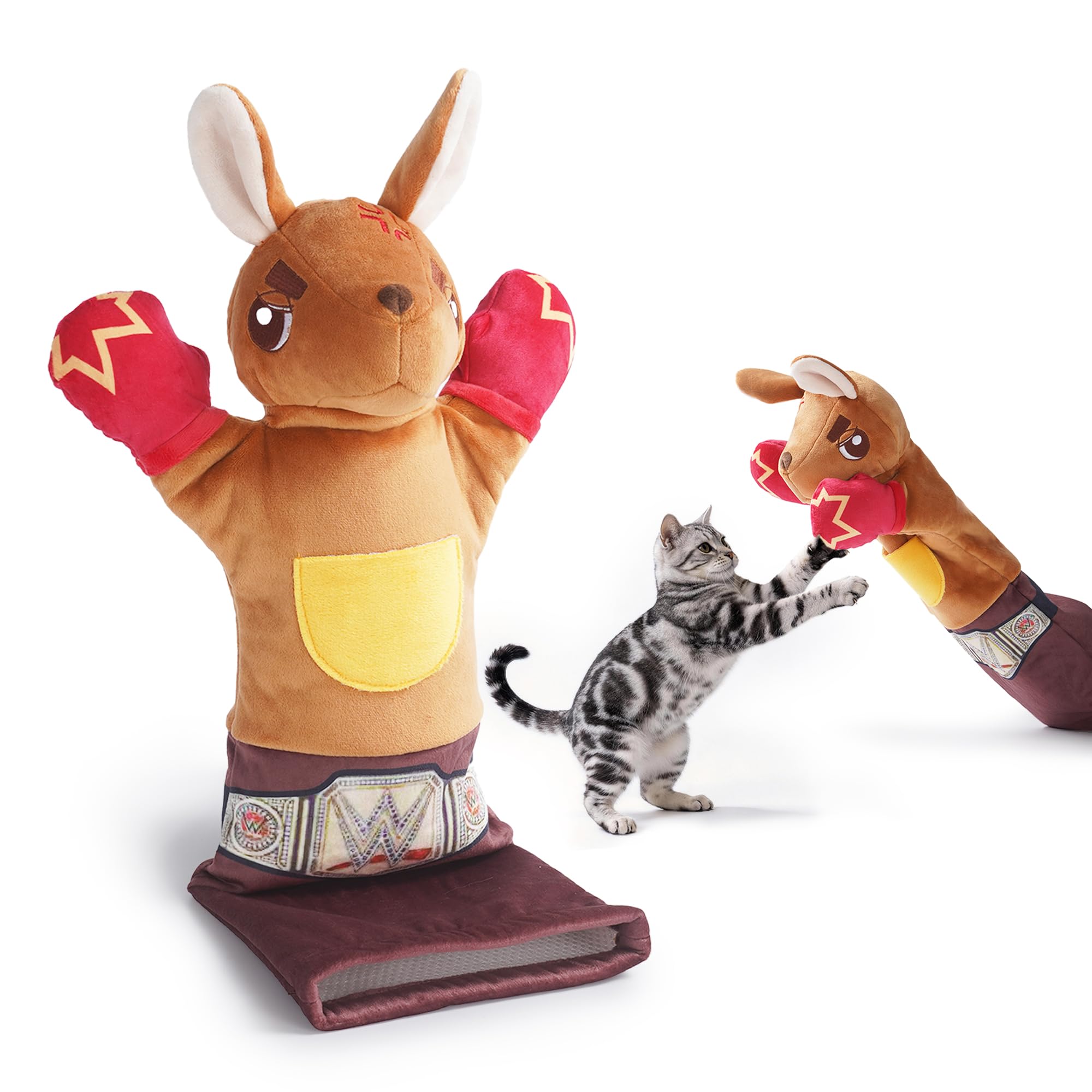 Gants de lutte contre les chats