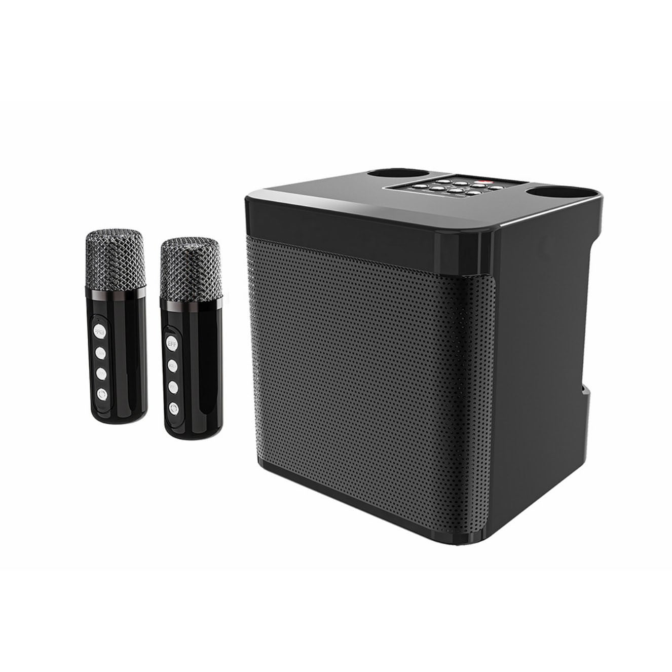 Haut-parleur de karaoké Bluetooth portable avec 2 microphones sans fil