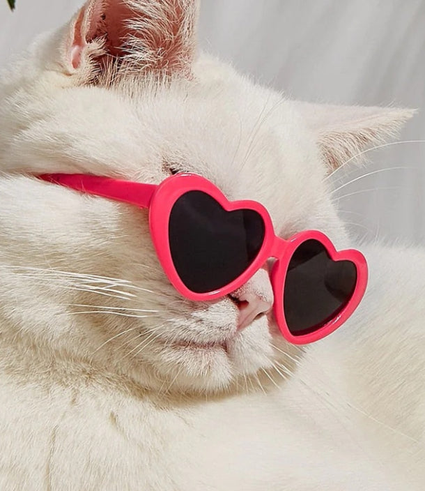 Lunettes de soleil poupée Pet Toy Accessoires