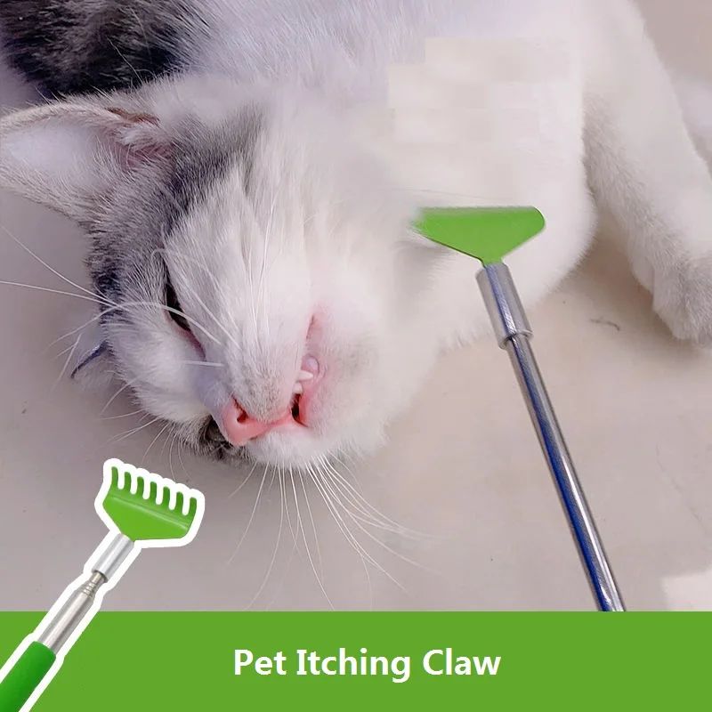 Brosse de massage pour jouets interactifs pour chat