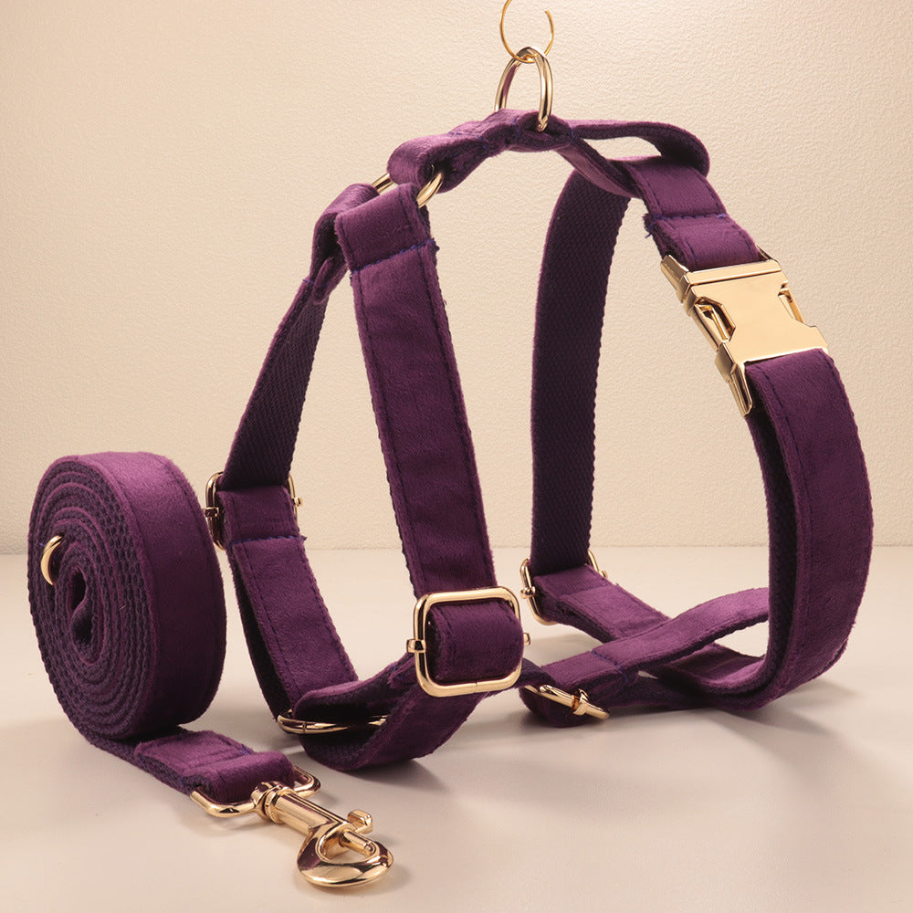 Collier de chien de velours et jeu de tir