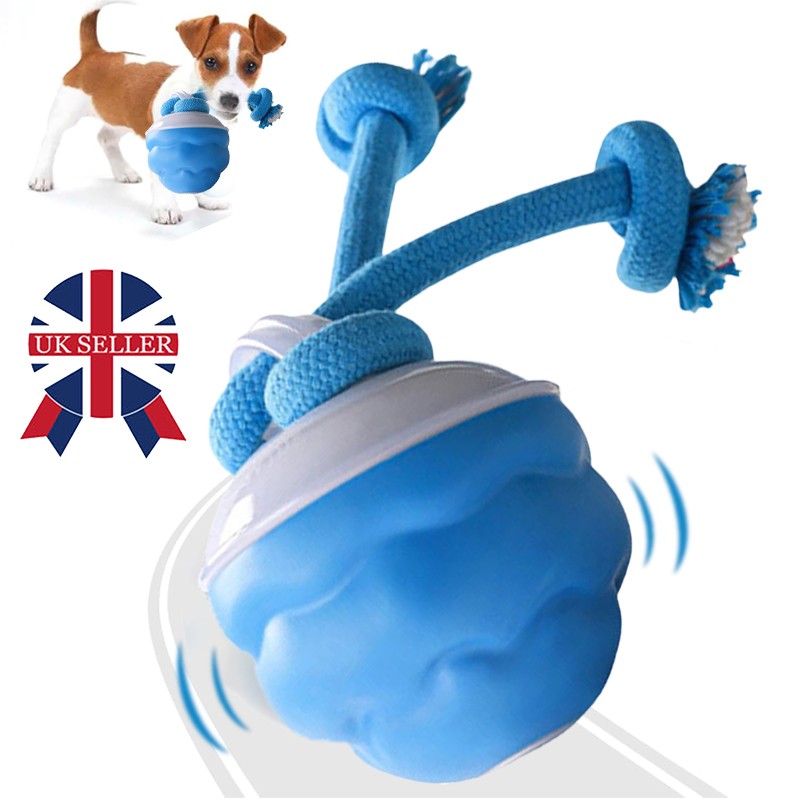 La Chase Buddy Dog Boredom Jouet stimulant Smart Pet Puppy Ball avec des ropes