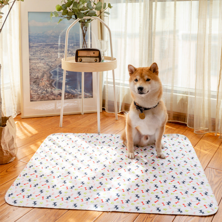 Chien lavable réutilisable