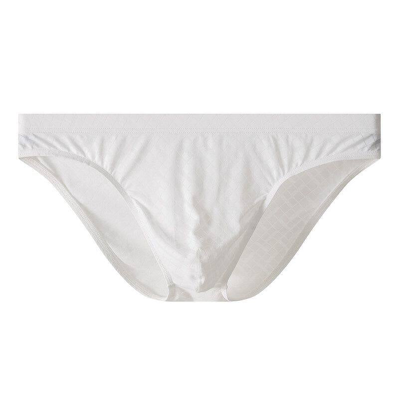 Hommes Silk glacé Transparent slips mince taille basse Sexy
