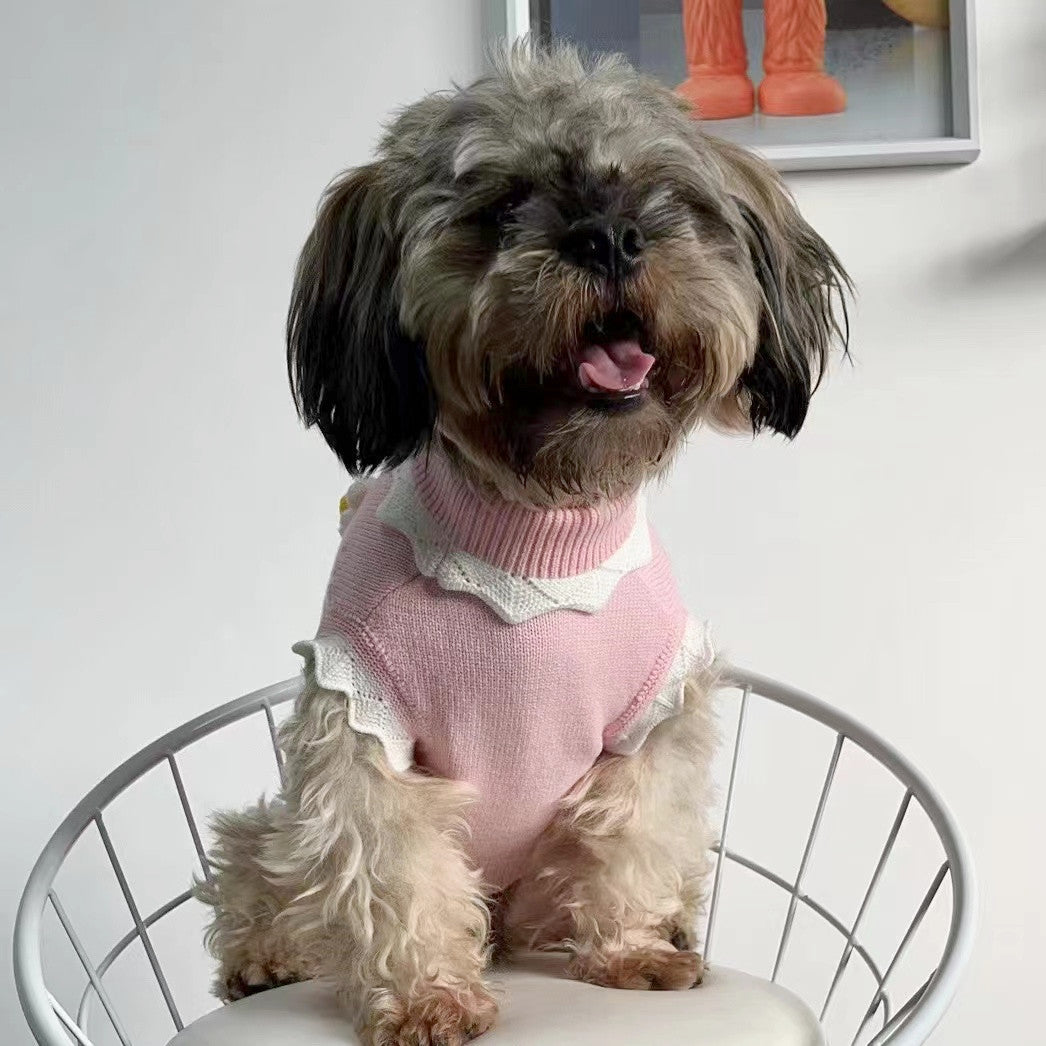 L'automne et l'hiver chaud et confortable Chandail de chien vêtements chat vêtements fleur Blossom