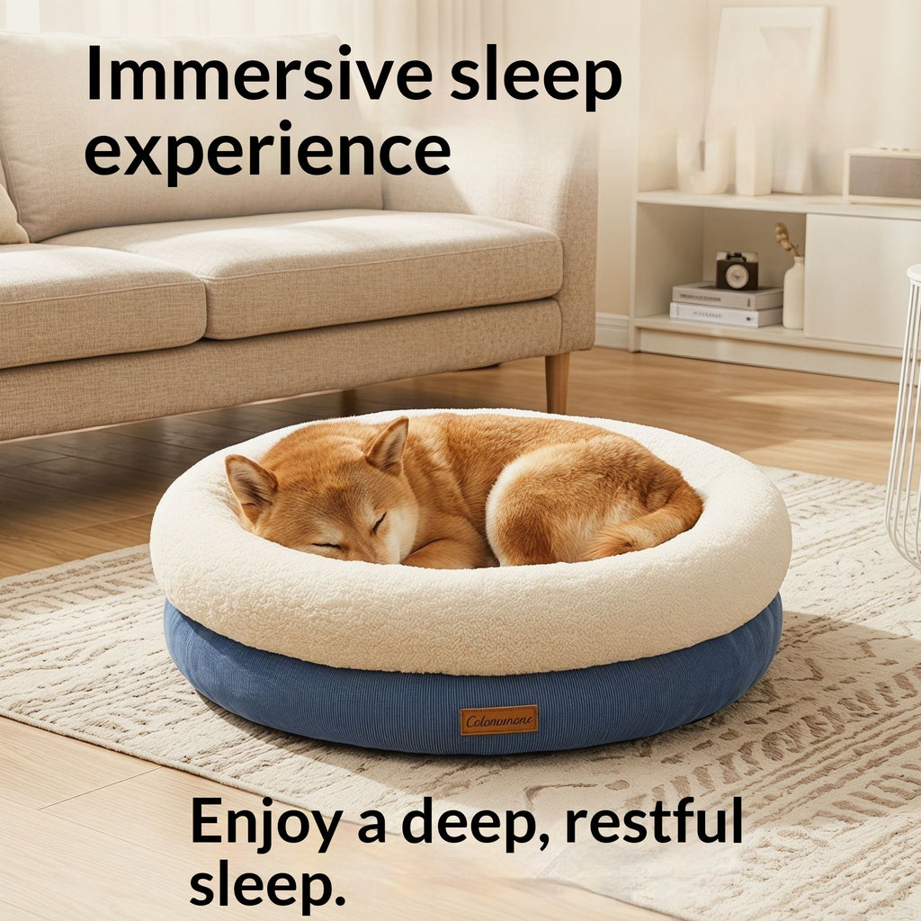 Lit de chien pour le printemps