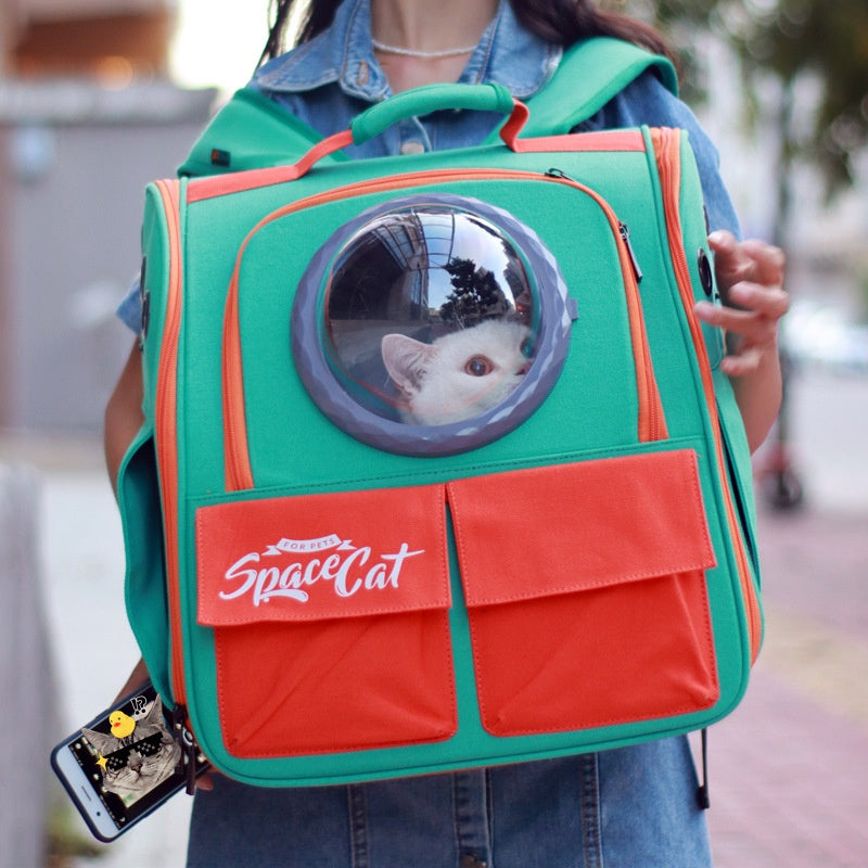 Grand sac à dos Portable Cat Carrier avec bandoulière et poignées pour les sorties