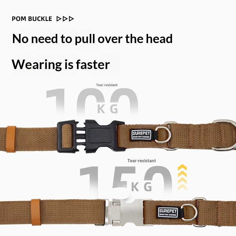 Collier de chien avec étiquette d'identification pour empêcher votre chien de se perdre