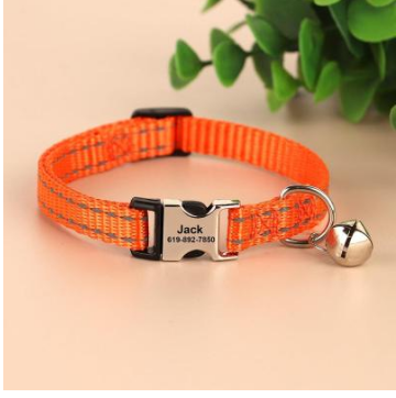 Collier de collier de chat antidérapant gravé