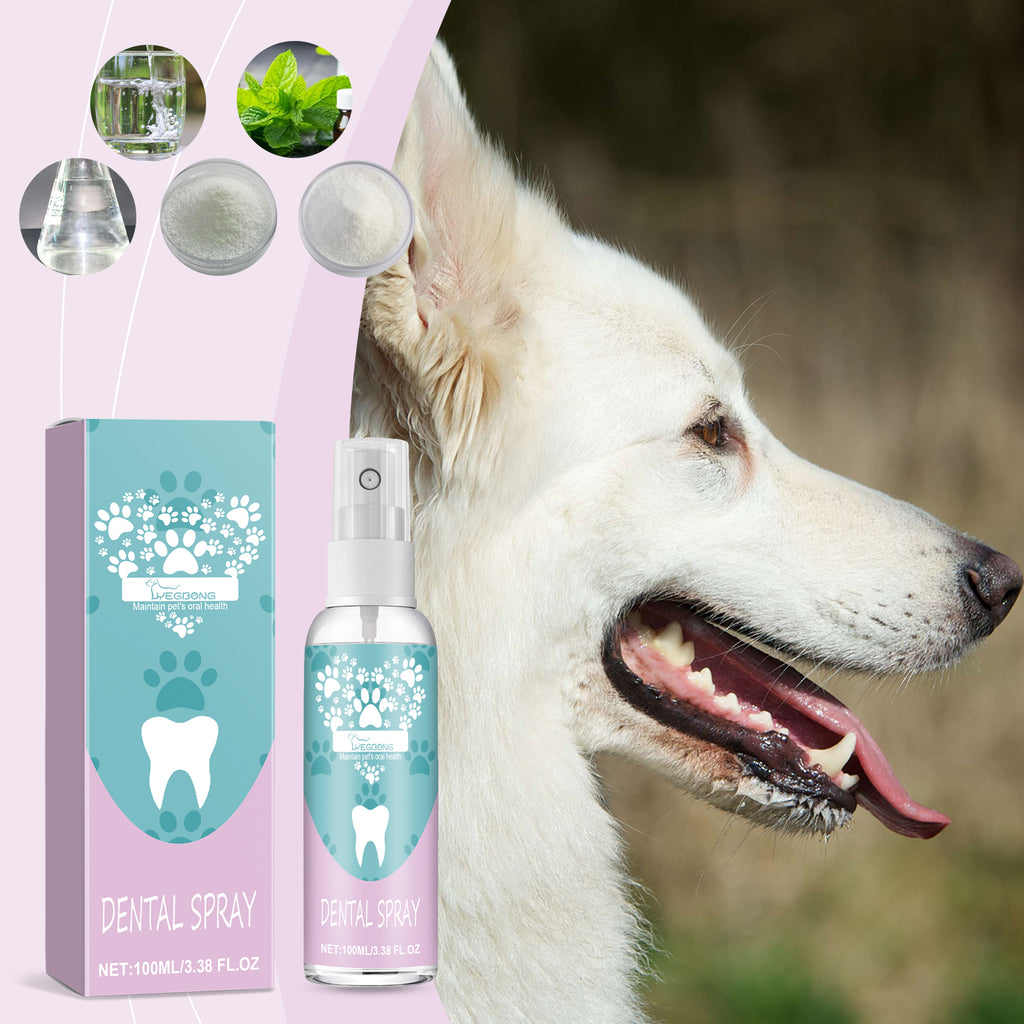 Vaporisateur de dents pour animaux de compagnie