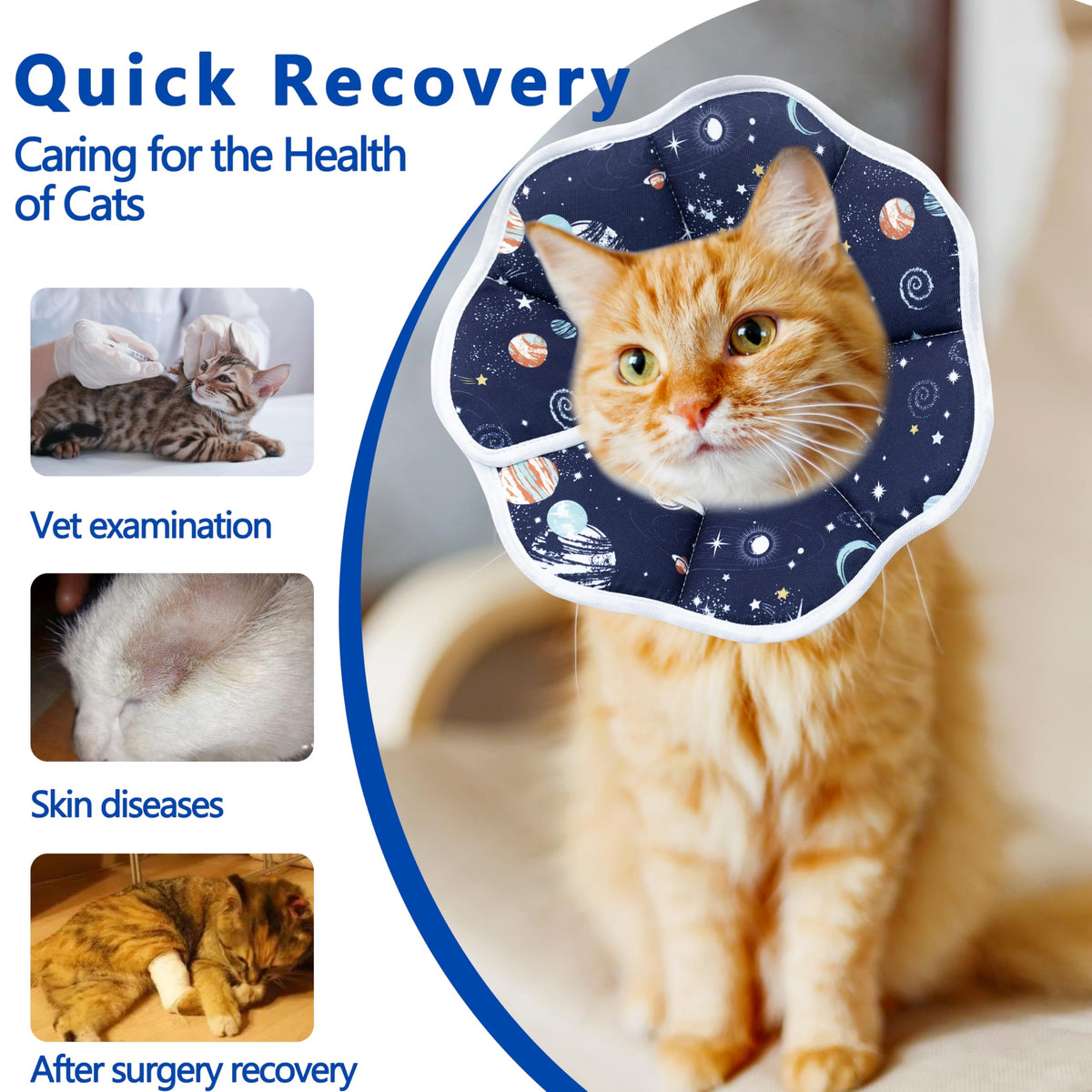 Soft cat cone
