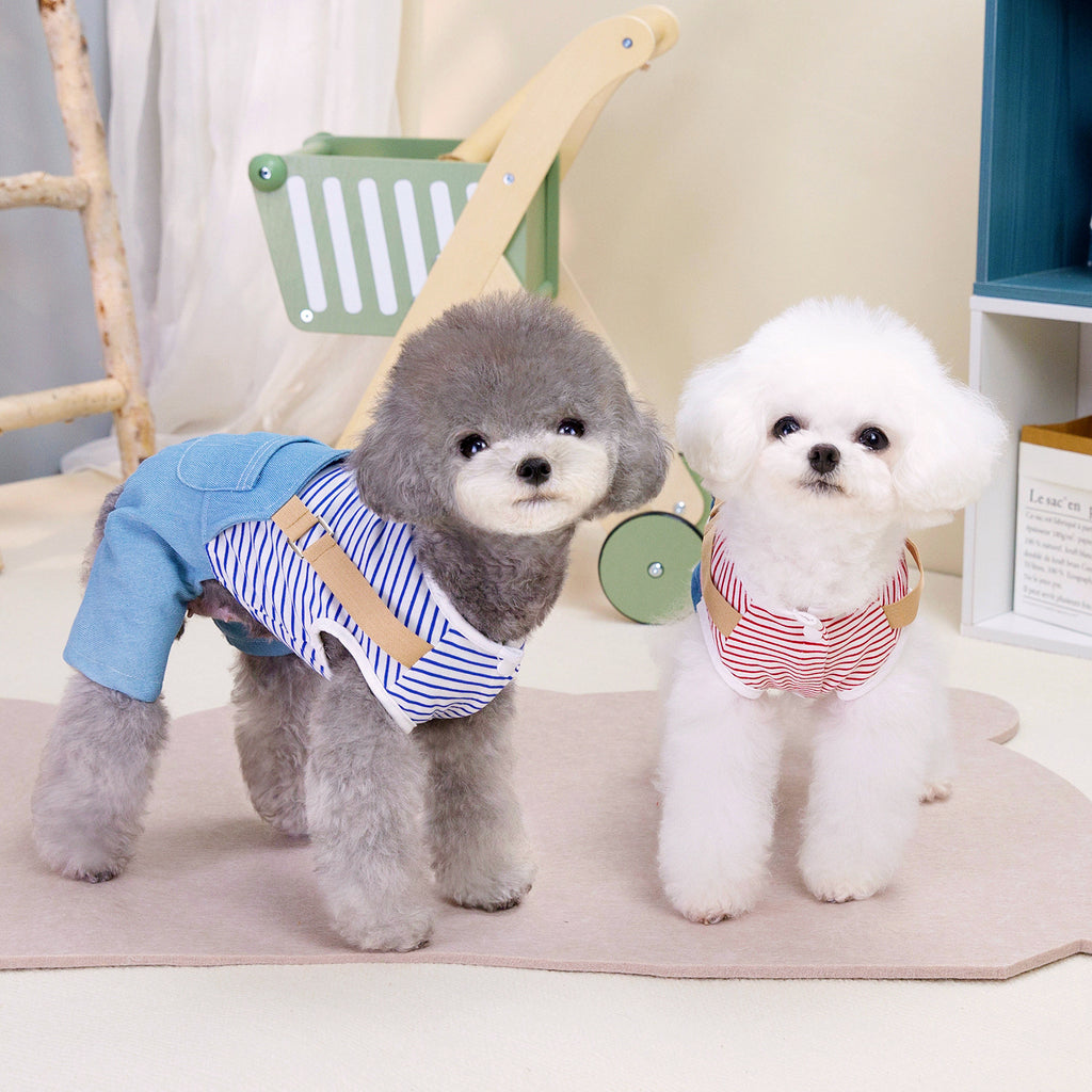 Personnalité Mode Chien Denim Four Pantalons