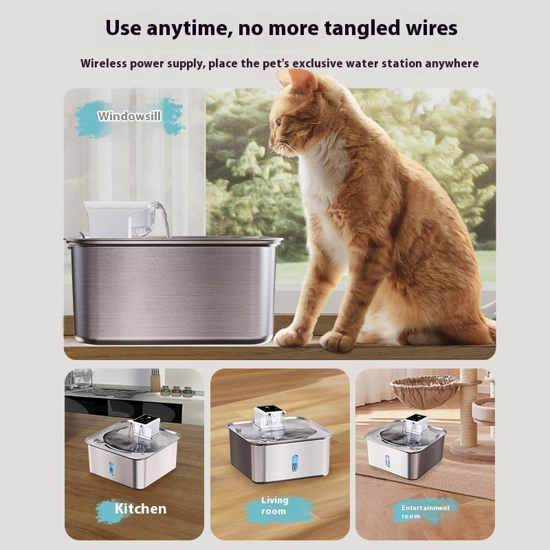 Fontaine d'eau de chat sans fil en acier inoxydable rechargeable