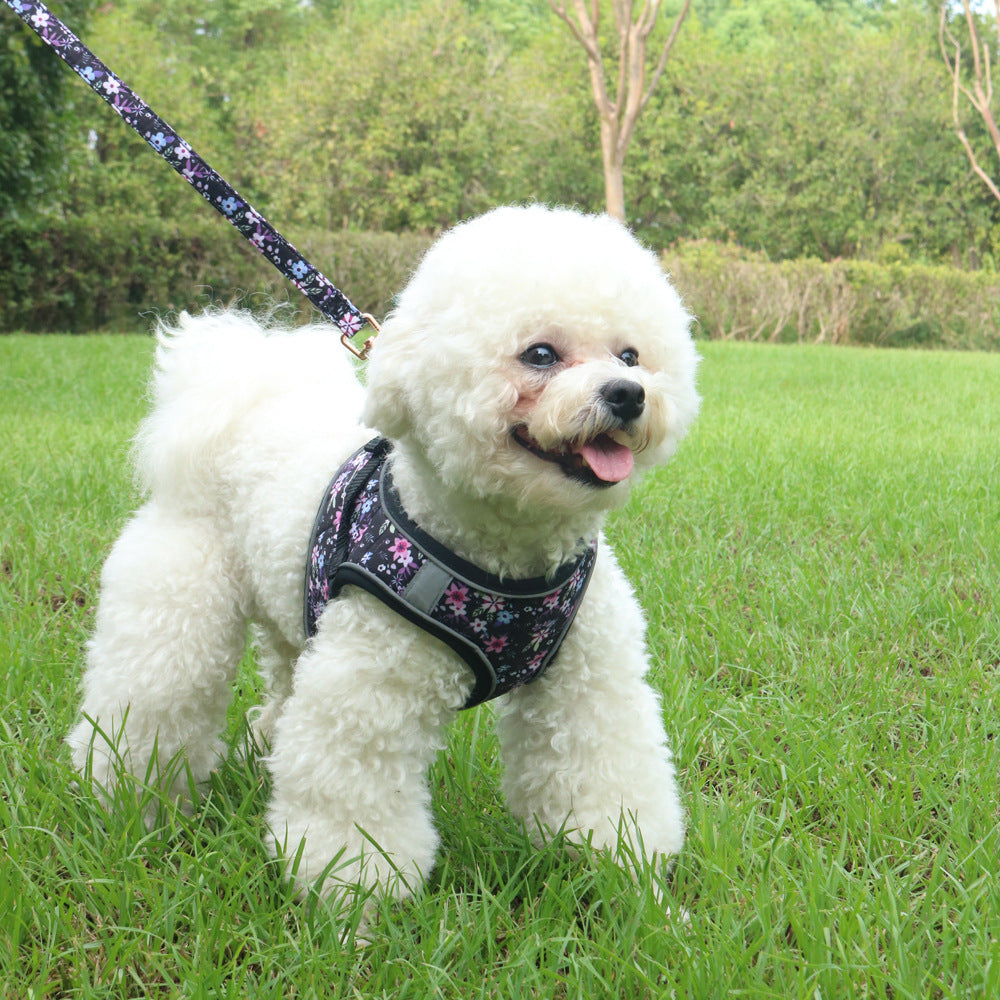 Pet Harness LeashVest style pour l'extérieur